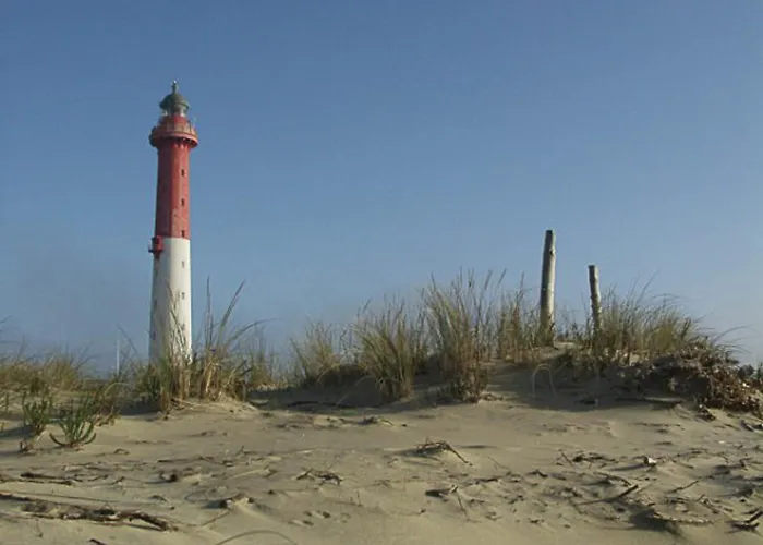 Les meilleurs hôtels La Palmyre pas cher