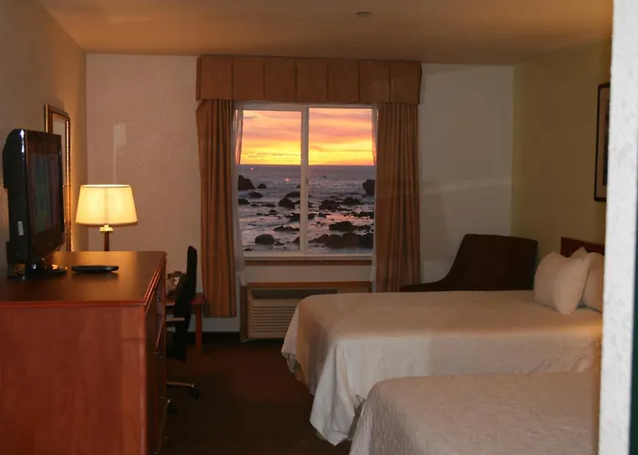 Top Hotels in Crescent City for Nature Lovers